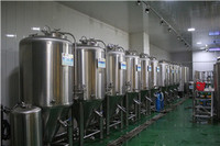 500L 5HL small micro craft beer brew fermentation tank machine supplier