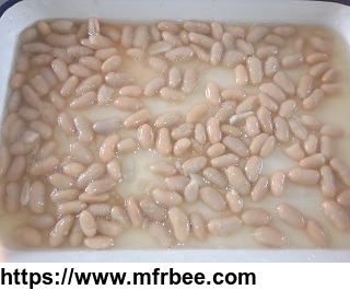 canned_dry_broad_beans_uk_fava_beans_price