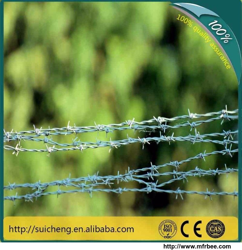 factory_direct_free_samples_hot_dip_galvanized_barb_wire_for_kenya_market
