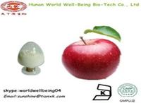 more images of apple extract polyphenol 75% apple seeds pe/ free sample apple pectin
