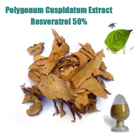 Resveratrol / Polygonum cuspidatum Extract