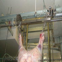 more images of Legs Separated Device