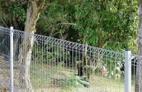more images of Welded Wire Garden Fence