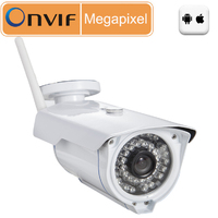 Outdoor Water-proof P2P Wireless IRCUT Night Security IP Camera