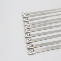 more images of Stainless Steel Cable Tie/SS Cable Tie/Steel Cable Tie