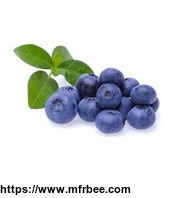 bilberry_extract