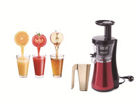 Slow Juicer with Juice Jug and Cleaning Brush