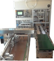 Automatic vertical casepacker with tape or glue