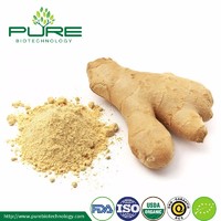 more images of Organic Dried Ginger Powder