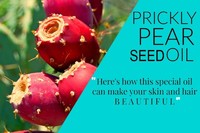 Prickly Pear Seed Oil Anti Aging