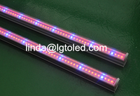 more images of T8 led tube grow lighting CE&RoHS Certificate