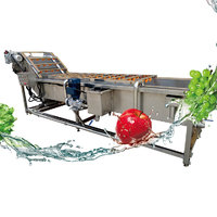 more images of fruit and vegetables washing machine