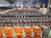 more images of WOKAITE 25 ton electric chain hoist with eight chains