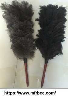 ostrich_feather_duster