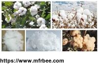 healthy_hot_selling_popular_design_organic_cotton_fiber_or_natural_colored_cotton_fiber