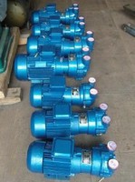 2BV series Water Ring Vacuum Pump