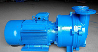 2BV5121 Single Stage Water Ring Vacuum Pump