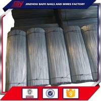 China Exporter Anti-Twisting Braided Steel Straight Cut Wire
