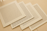 more images of Perforated Gypsum Board