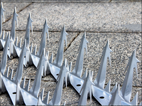 Security Fence Spikes