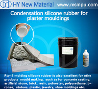 more images of RTV silicone rubber