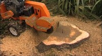 more images of Stump Grinding Surrey Inc.