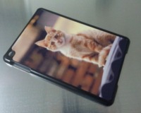 Ipad Mini Phone Case