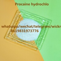 Procaine hydrochlo