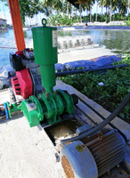 3hp 5hp 7.5hp 10hp 15hp Roots Air Blower for Aquaculture Fish Pond Tanks Shrimp Farms Air Pump Air Blower