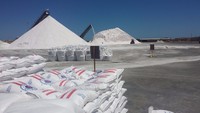 more images of Solar Refined Medium Coarse Salt