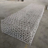 more images of Gabion Box