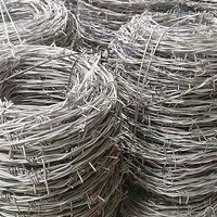 more images of Barbed Wire