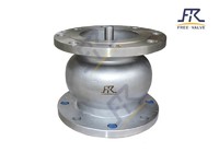 Flanged  Line Silent Axial Flow Lift Check Valve for Water Pump System