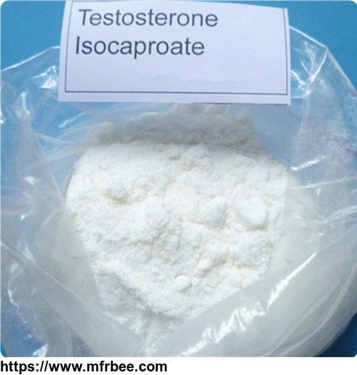 testosterone_isocaproate