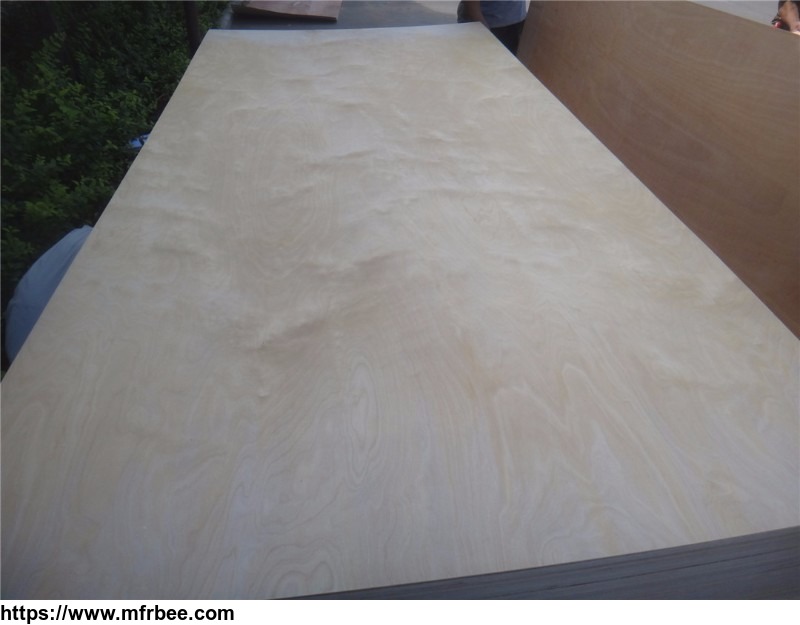 commercial_plywood_film_faced_plywood