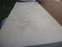commercial plywood film faced plywood