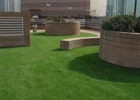 258817 Landscape Artificial Grass