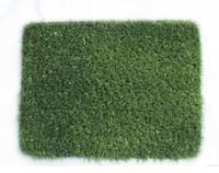 more images of Advantages of Golden Moon artificial turf use