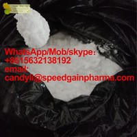 CAS No. 40064-34-4/99918-43-1 powder in Mexico market WHATSAPP:+8615632138192