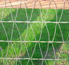 V-Mesh Horse Fencing 12 - 16  gauge Wire Woven Field Fence