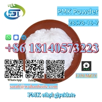 New PMK Powder CAS 28578-16-7 With High purity
