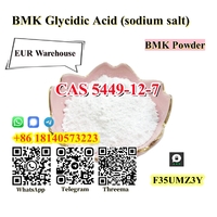 German warehouse CAS 5449-12-7 BMK Glycidic Acid (sodium salt) With Best Price