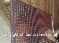 more images of Laminated Glass Wire Mesh