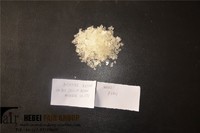more images of P6401 Polyester Resin for Powder Coatings