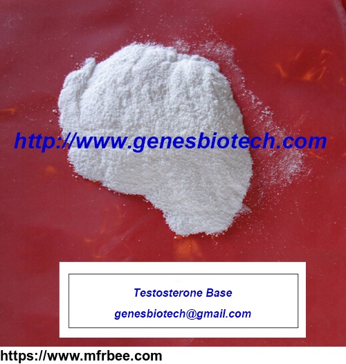 testosterone_base_genesbiotech_at_gmail_com_
