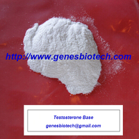 Testosterone Base ( genesbiotech@gmail.com )