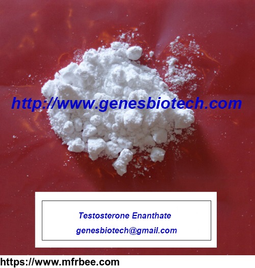 testosterone_enanthate_genesbiotech_at_gmail_com_