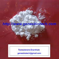 Testosterone Enanthate (genesbiotech@gmail.com)