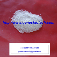 Testosterone Acetate (genesbiotech@gmail.com)