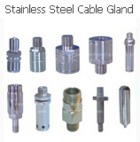 Stainless Steel Cable Glandd